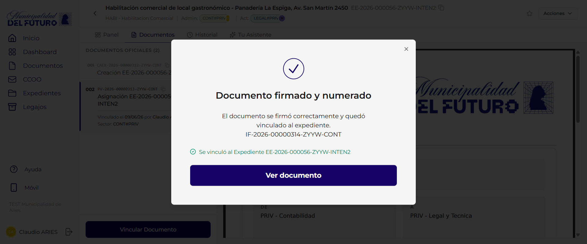 Resultado vinculacion automatica